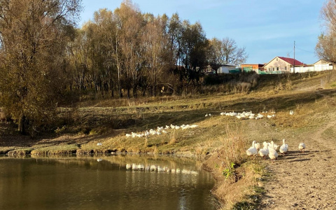 Ноябрь в Чувашии начнется с аномального тепла