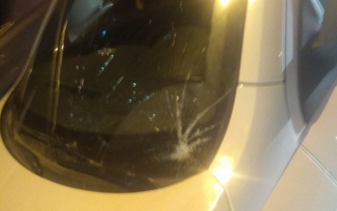 Водитель сбил пешехода на зебре: "Куда ты бежишь!"