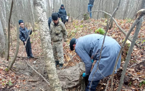 Расплата настигла охотника спустя месяц после убийства лося