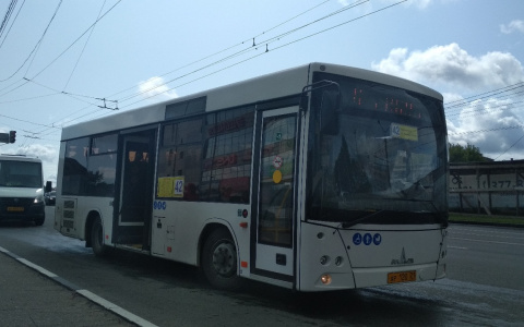 Жители и гости Чувашии смогут экономить на оплате проезда: Сбербанк и Visa запускают совместную акцию