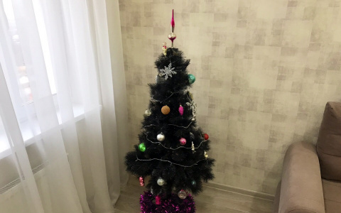 Жителям Чувашии порекомендовали провести новогодние праздники дома