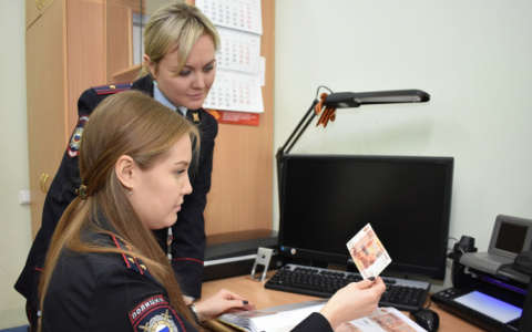 В полицию Чувашии примут людей с экономическим и строительным образованием