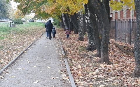 Власти Чувашии планируют освободить многодетные семьи от транспортного налога