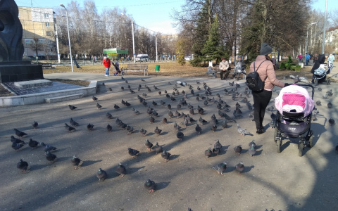 Чебоксарские родители стали называть своих детей чувашскими именами