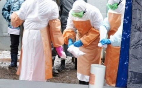 Власти установили карантин по бешенству в Ядрине