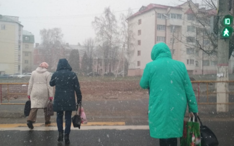 На некоторые районы Чувашии обрушится мокрый снег