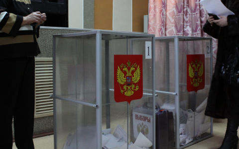 Подделку подписей на выборах в Чувашии прокомментировали в ЦИК