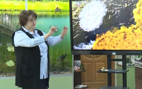 В Чувашии завелись "животные" в виде грибов