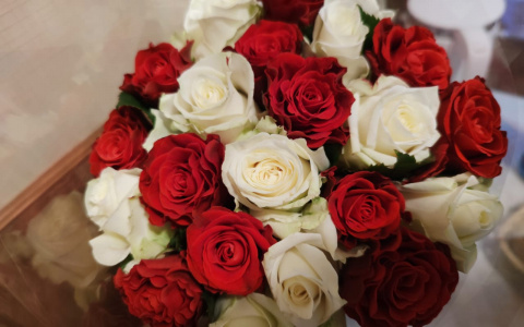 «Зеленый дайджест» Сбера: пять причин, почему неэкологично дарить срезанные цветы