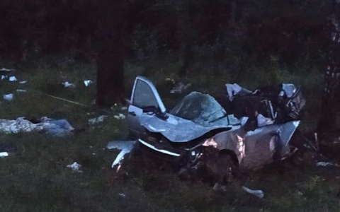 Житель Москвы признал вину за смертельное ДТП в Чувашии