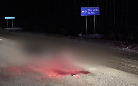 В Чувашии водитель насмерть сбил человека и скрылся