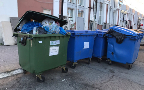 «Зеленый дайджест» Сбера: на чем строится концепция zerowaste