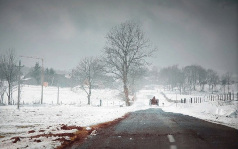 По версии властей, сельхозработники Чувашии зарабатывают 25 тысяч рублей