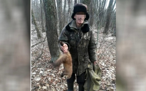 В Чувашии на пенсионера возбудили уголовное дело из-за самки куницы