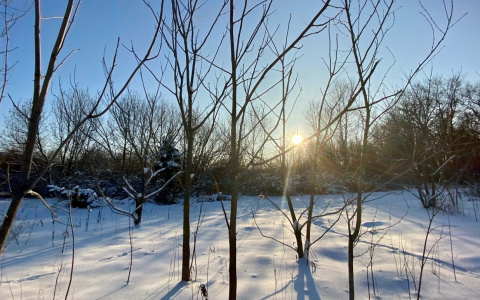 В Чувашии усиливается зимний мороз