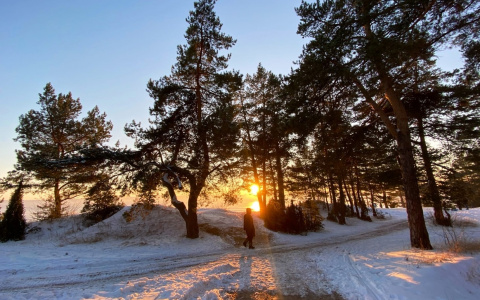 Солнечные дни и крепкие морозы: прогноз погоды на неделю в Чувашии