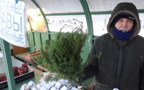 Новочебоксарские собиратели трав встречают медведей и волков, пока ищут редкие растения