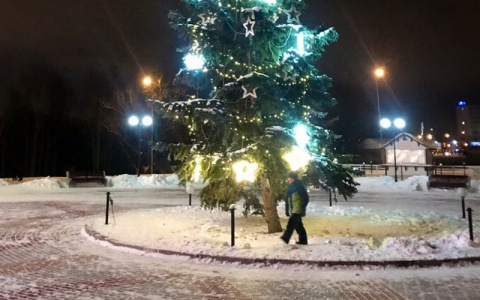 Чебоксарка хотела арендовать домик на новогодние праздники, но неудачно все вышло