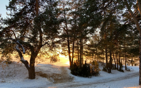 Какой прогноз дали синоптики Чувашии на понедельник