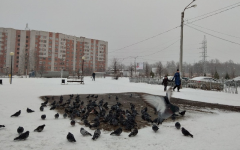 МЧС предупреждает жителей Чувашии о резком похолодании