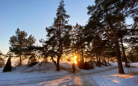 Объявление о продаже живописной части Заволжья пропало