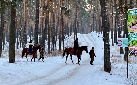 Сколько дней россияне будут отдыхать в 2021 году