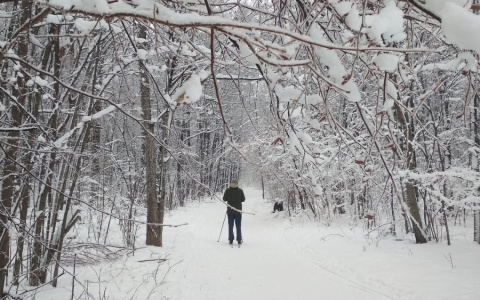 Прогноз от синоптиков Чувашии на январь: когда ждать снегопадов