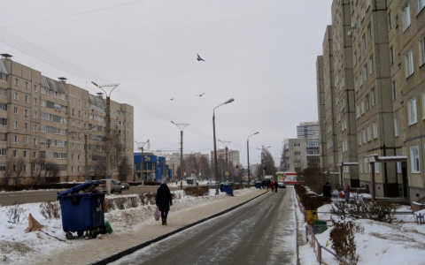 Вывозят ли мусор в новогодние праздники: фоторепортаж