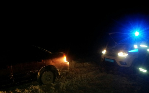 В Чувашии водитель пытался не сбить лисицу и сам попал в беду