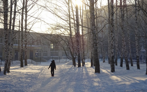 Школам рекомендовали отменить занятия для младшеклассников Чувашии