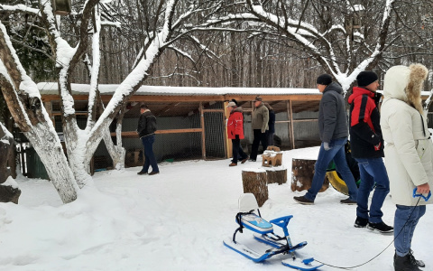 Прокуратура отстояла право медведя на собственный бассейн в новочебоксарском зоопарке