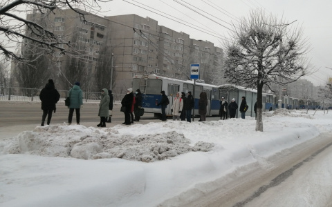В Новоюжном районе встали троллейбусы