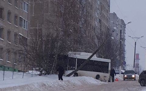 В Чебоксарах автобус № 46 влетел в дерево