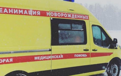 Семь часов врачи Чувашии везли малыша в другую больницу, невзирая на метель и холод