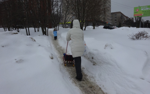 В Чувашии не выдают пособия на детей, власти назвали сроки выплат