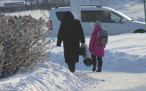 Пять млрд рублей детских пособий выплатили семьям Чувашии в пандемию