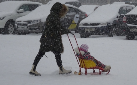 Почти 10 тысяч семей в Чувашии получили по 9 тысяч рублей