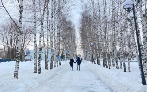 Студенты Чувашии хотят начинать зарабатывать с 25 тысяч рублей