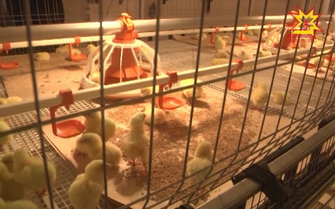 "Юрму" вновь требуют признать банкротом