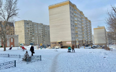 Мокрый снег и снова туман: 4 февраля в Чувашии