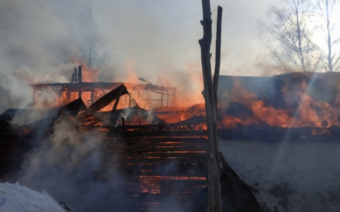 Восемь ЧП произошло в Чувашии за сутки