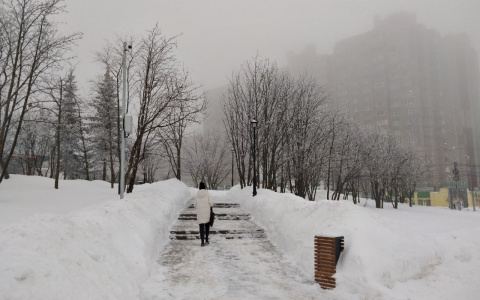 Ночные морозы в Чувашии достигнут 30 градусов, днем будет чуть теплее