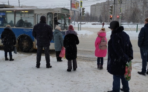 Госдума приняла закон о запрете высаживать детей без билетов из автобуса