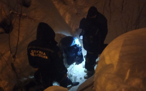 В Чувашии жители со спасателями вытащили застрявшего под плитой щенка