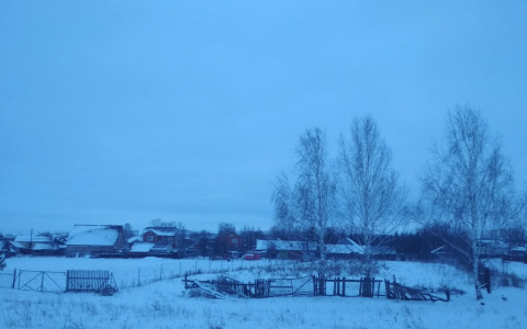 Жительница Чебоксар мечтала о садовом участке, но в итоге потеряла деньги