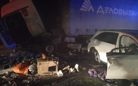 В ДТП с грузовым тягачом погибли водитель и пассажирка легковушки