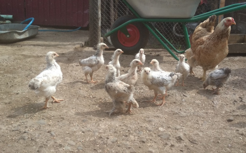 Второе банкротство "Юрмы" взяли под наблюдение