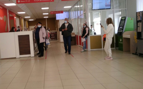 Как узнать о положенных льготах и пособиях: варианты