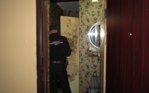 В Канаше убили местную жительницу, подозреваемый задержан