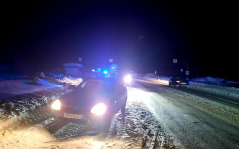 В Чебоксарском районе водитель насмерть сбил женщину на "зебре"